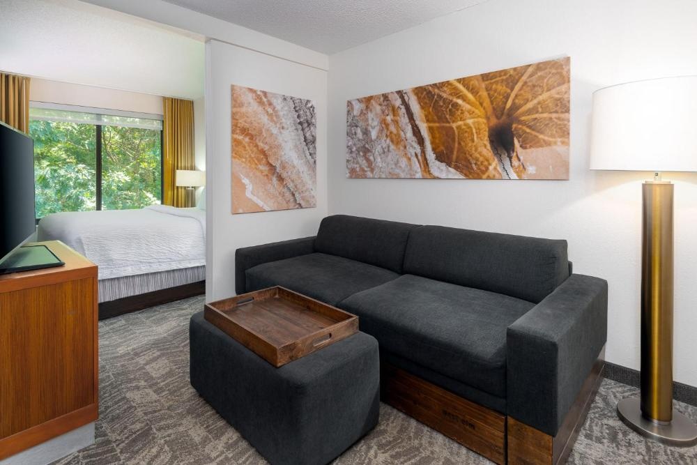 SpringHill Suites Asheville Imagen 15