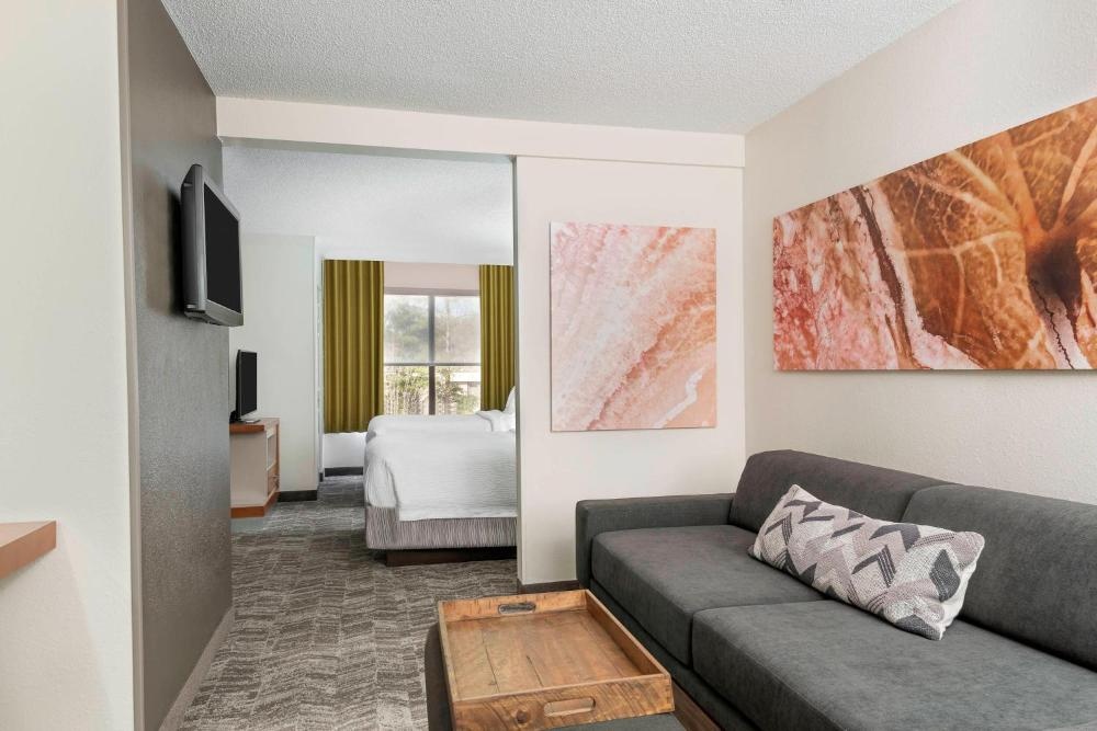 SpringHill Suites Asheville Imagen 19