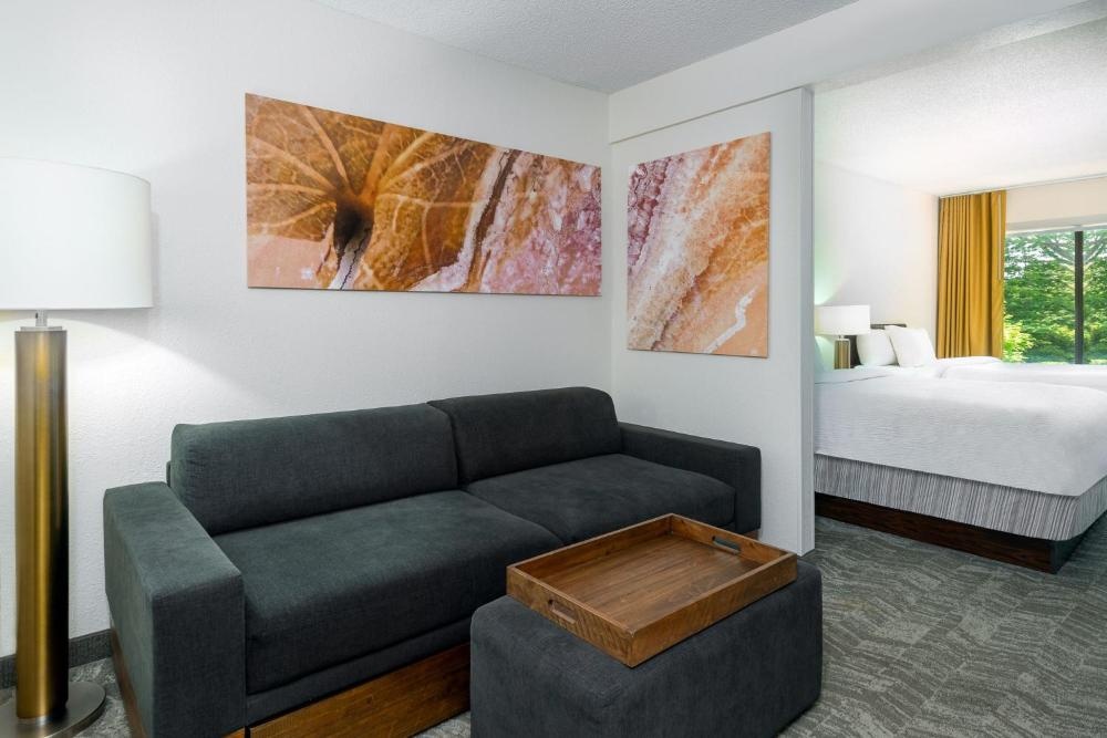 SpringHill Suites Asheville Imagen 33